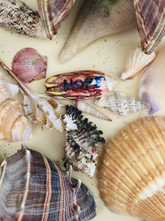 A shell of a lot of ‘Hope’ News, Sports, Jobs SANIBELCAPTIVA